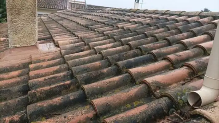 reparation toiture Castelnau-le-Lez